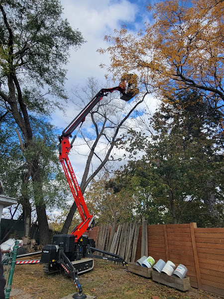 Red spider lift crane extended into a tree canopy in a residential backyard
